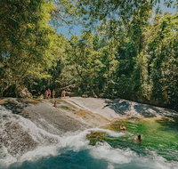Atherton Tablelands Waterfalls and Rainforest Day Tour Departing Cairns - Find Attractions