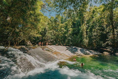 Atherton Tablelands Waterfalls And Rainforest Day Tour Departing Cairns - Find Attractions 0