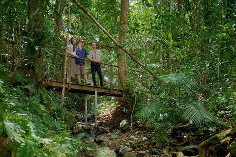 Daintree And Cape Tribulation Tour From Cairns - Find Attractions 3