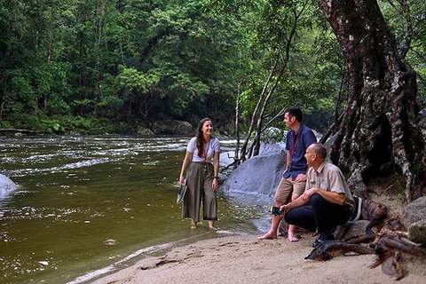 Daintree And Cape Tribulation Tour From Cairns - Find Attractions 2