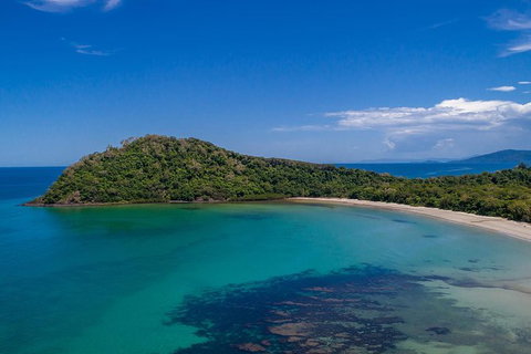 Daintree And Cape Tribulation Tour From Cairns - Find Attractions 7