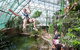 Cairns ZOOM And Wildlife Dome - thumb 2
