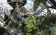 Cairns ZOOM And Wildlife Dome - thumb 5
