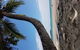 Airport Transfers Between Cairns Airport And Cairns City - thumb 4