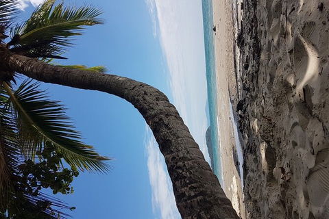 Airport Transfers Between Cairns Airport And Cairns City - Find Attractions 4