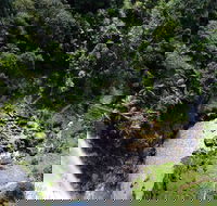 Full-day Springbrook National Park Tour from the Gold Coast - Find Attractions