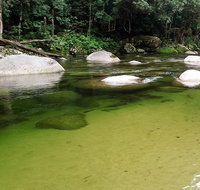 Afternoon Half-Day Daintree Rainforest and River Tour - Find Attractions