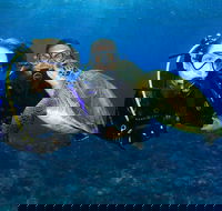 Gold Coast Try-Scuba Experience at Wave Break Island - Find Attractions