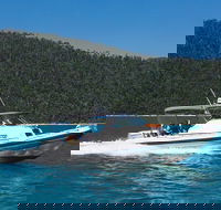 Private Standard Charter Experience in Whitsundays - Find Attractions