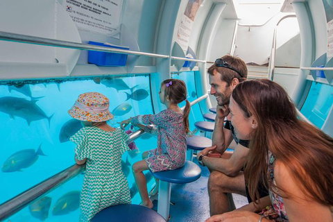 Cruise To Moore Reef Pontoon And Return Helicopter Flight From Cairns - Find Attractions 2