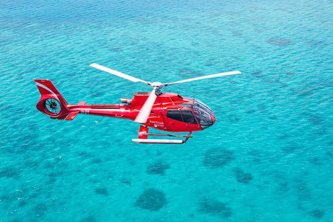 Cruise To Moore Reef Pontoon And Return Helicopter Flight From Cairns - Find Attractions 7