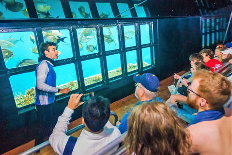 Cruise To Moore Reef Pontoon And Return Helicopter Flight From Cairns - Find Attractions 3