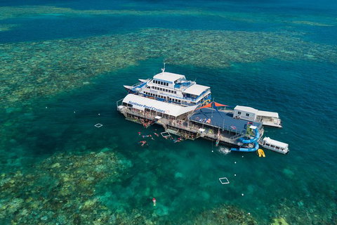 Cruise To Moore Reef Pontoon And Return Helicopter Flight From Cairns - Find Attractions 8