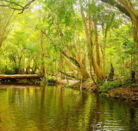 Private Half Day Tour Exclusive World Heritage Rainforest and Waterfall Tour from Cairns - Find Attractions