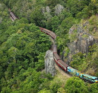 Cairns 4WD Waterfall and Rainforest Tour Including Kuranda Scenic Railway - Find Attractions