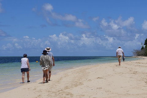 2-Day Great Barrier Reef Combo: Green Island Sailing And Outer Reef Snorkel Cruise - Find Attractions 7