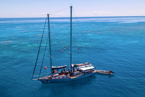 2-Day Great Barrier Reef Combo: Green Island Sailing And Outer Reef Snorkel Cruise - Find Attractions 4