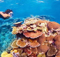6-Day Best of Cairns Including the Great Barrier Reef Kuranda and the Daintree Rainforest - Find Attractions