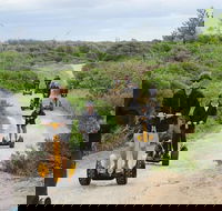 Gold Coast Segway Safari Adventure 90-minutes - Find Attractions