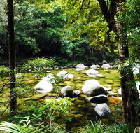 Cairns Daintree Rainforest and Cape Tribulation 2-Day Tour - Find Attractions