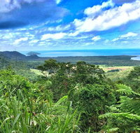 Private Daintree National Park Day Tour from Cairns Including Cape Tribulation and Mossman Gorge - Find Attractions