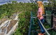 Skyrail Rainforest Cableway Day Trip From Cairns - thumb 19