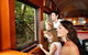 Skyrail Rainforest Cableway Day Trip From Cairns - thumb 1
