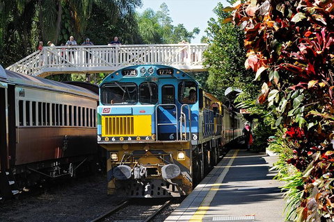 Skyrail Rainforest Cableway Day Trip From Cairns - Find Attractions 16