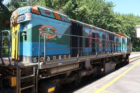 Skyrail Rainforest Cableway Day Trip From Cairns - Find Attractions 12