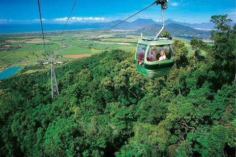 Skyrail Rainforest Cableway Day Trip From Cairns - Find Attractions 0