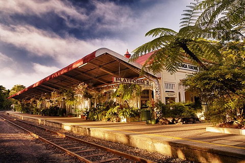 Skyrail Rainforest Cableway Day Trip From Cairns - Find Attractions 11