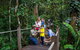 Skyrail Rainforest Cableway Day Trip From Cairns - thumb 14