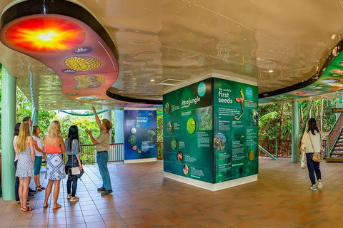 Skyrail Rainforest Cableway Day Trip From Cairns - Find Attractions 10