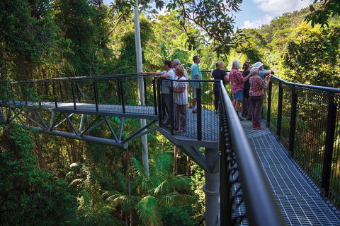 The Best Of Tamborine Mountain From The Gold Coast - Find Attractions 2
