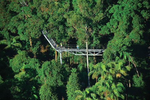 The Best Of Tamborine Mountain From The Gold Coast - Find Attractions 3