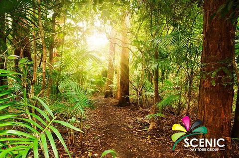 The Best Of Tamborine Mountain From The Gold Coast - Find Attractions 1