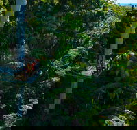 The Best of Tamborine Mountain from the Gold Coast - Find Attractions