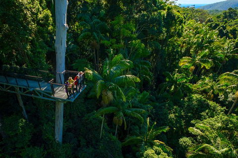 The Best Of Tamborine Mountain From The Gold Coast - Find Attractions 0