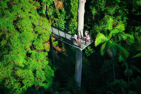 The Best Of Tamborine Mountain From The Gold Coast - Find Attractions 4