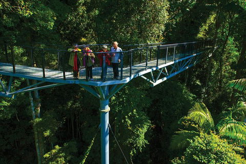 The Best Of Tamborine Mountain From The Gold Coast - Find Attractions 7