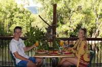 Hartley's Crocodile Adventures Entry Ticket and Breakfast with the Koalas