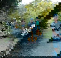 Gold Coast Segway Safari Adventure 60-minutes - Find Attractions