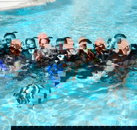 3-Day Open Water Certification Course on the Gold Coast - Find Attractions