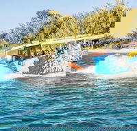 Gold Coast Quack'rDuck Amphibious Tour from Surfers Paradise