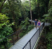 4-Day Cairns with Great Barrier Reef and Daintree Rainforest - Find Attractions