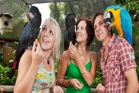 Kuranda Day Tour, TKS-3 Wildlife Gold 930 - Find Attractions 2