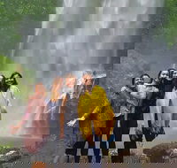 Small Group Tour Max 6 Gold Coast Super 7 Waterfalls Tour Springbrook