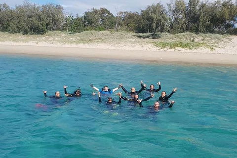 Guided Snorkel With Fish Tour At Wavebreak Island, Gold Coast - Find Attractions 4