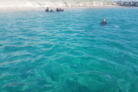 Guided Snorkel With Fish Tour At Wavebreak Island, Gold Coast - Find Attractions 8