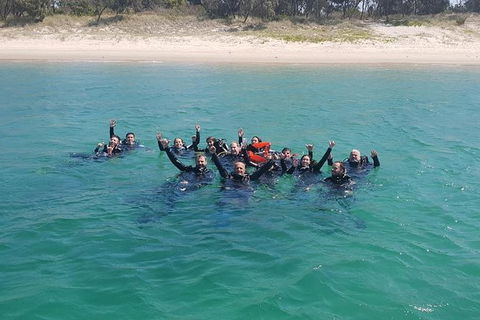 Guided Snorkel With Fish Tour At Wavebreak Island, Gold Coast - Find Attractions 12